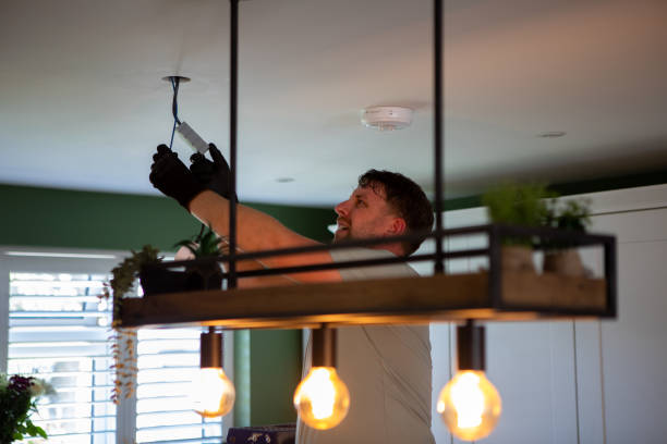 Best Ceiling Fan Installation Electrician  in Wheaton, MN