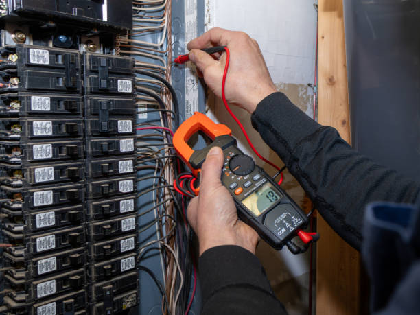 Best Electric Panel Repair  in Wheaton, MN